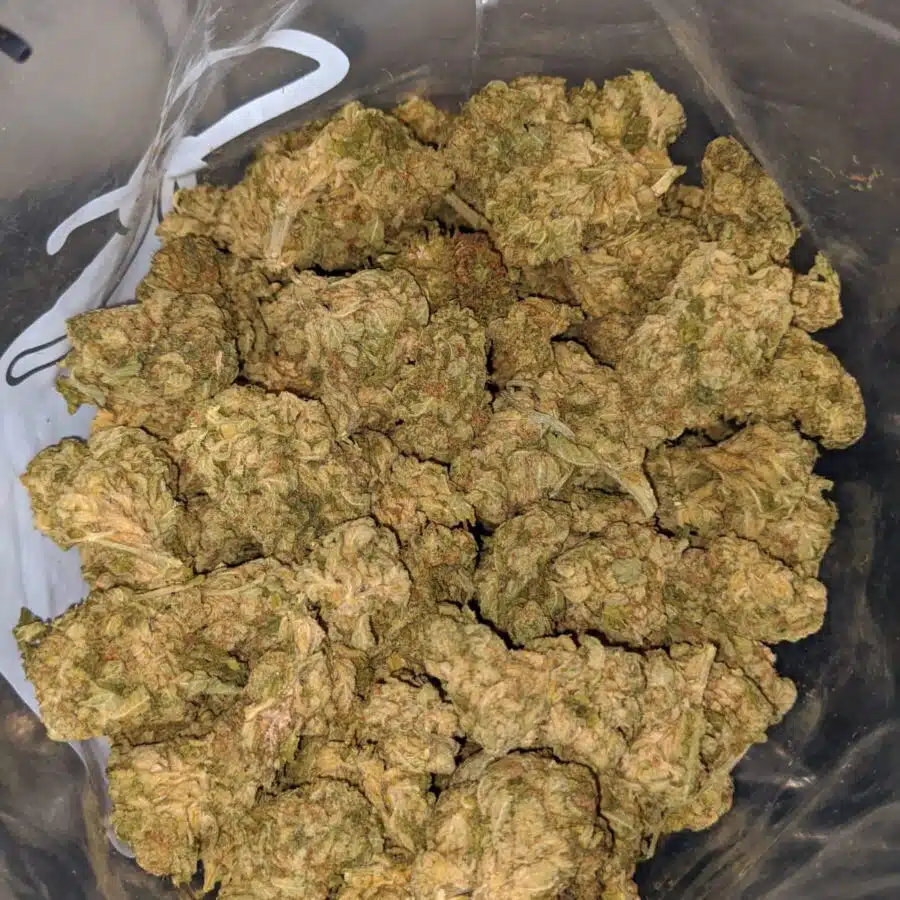sour crack aa 3 I Sour Crack AA+