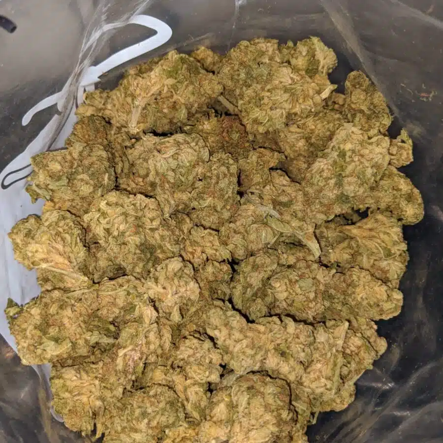 sour crack aa 4 I Sour Crack AA+