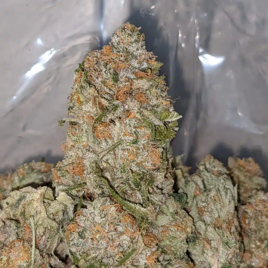 sour lemon candy dod 2 I Super Lemon OG