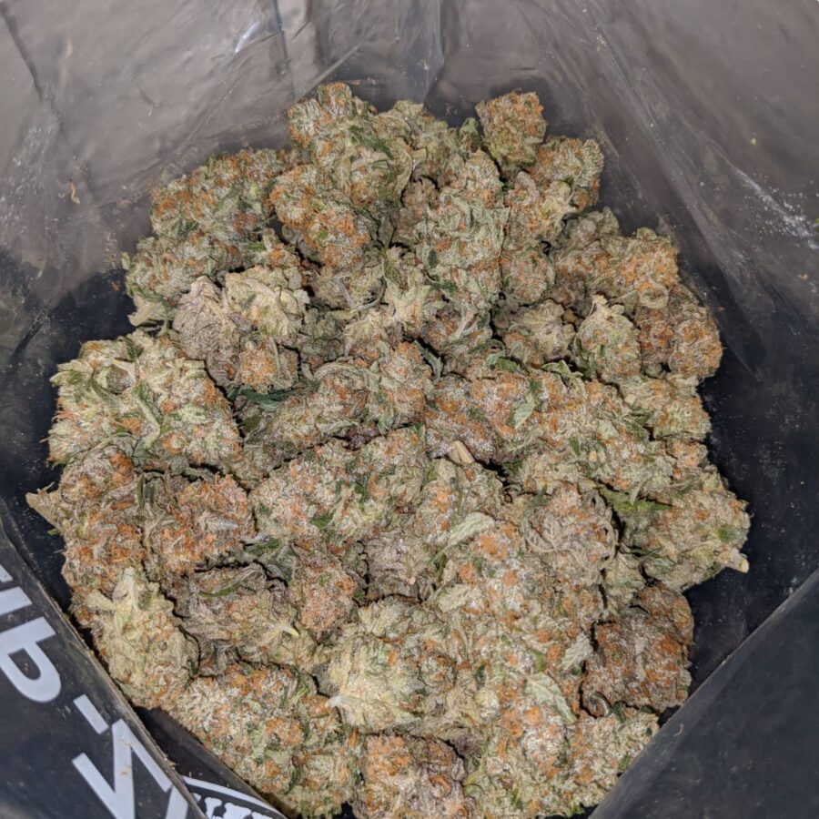Super Lemon OG