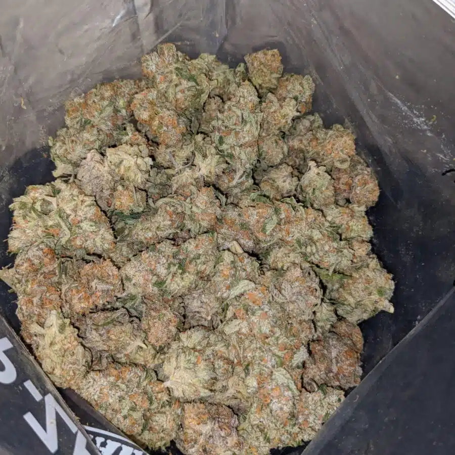 sour lemon candy dod 4 I Super Lemon OG