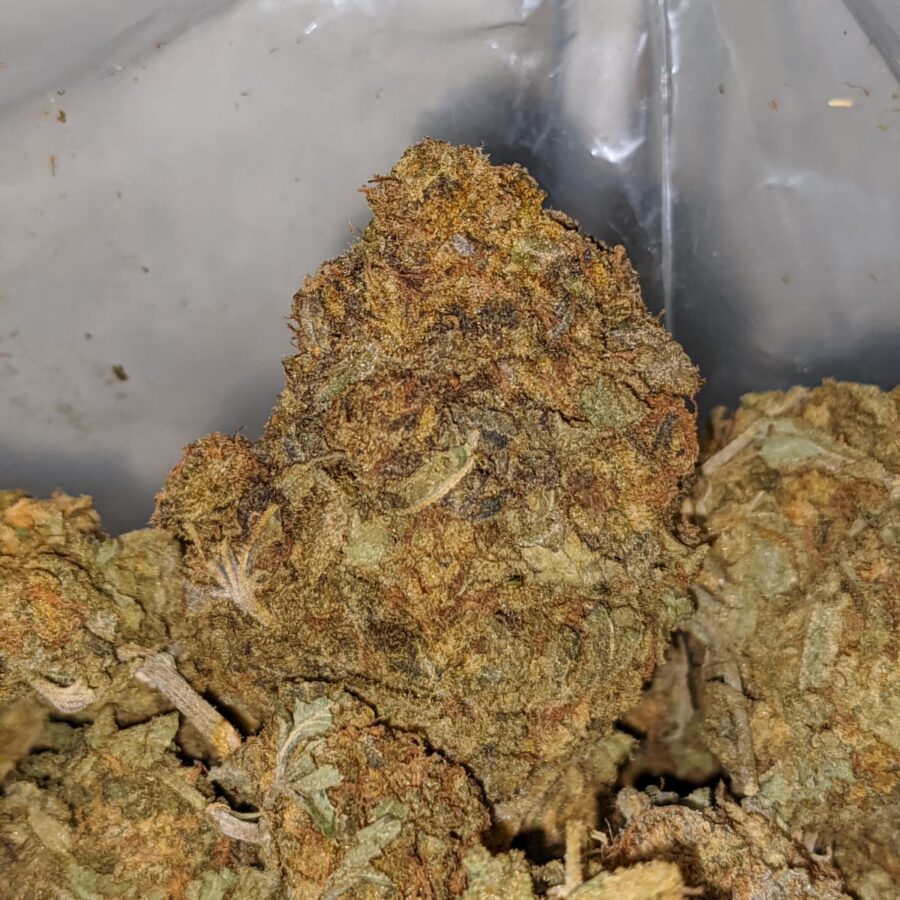 AA SOUR WHISKEY 1 I AA+ Earth OG