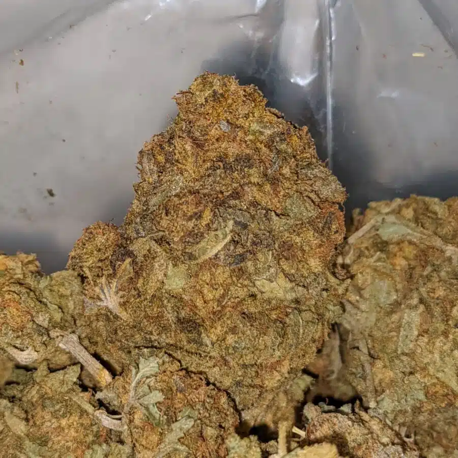 Alternative view of AA+ Earth OG