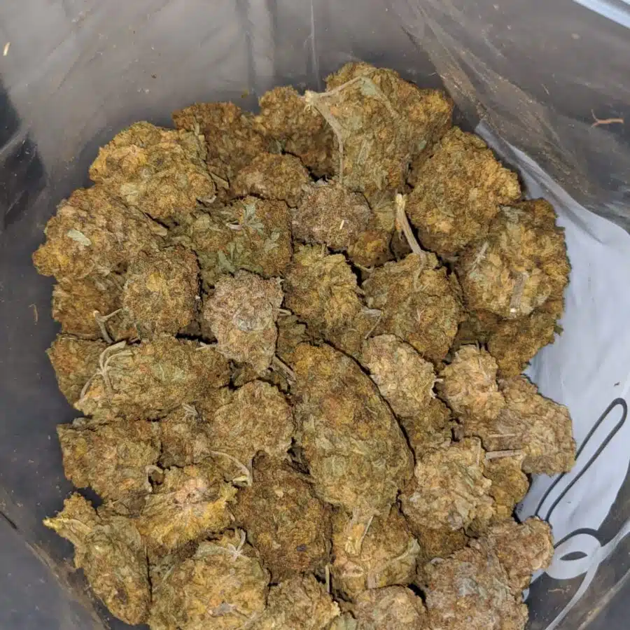AA+ Earth OG