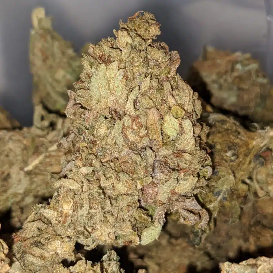AA WIDOW HAZE 1 I Tony's Widow Haze