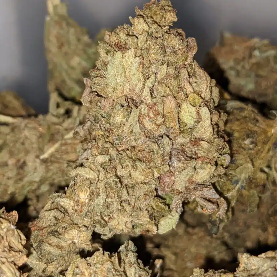 AA WIDOW HAZE 2 I Tony's Widow Haze