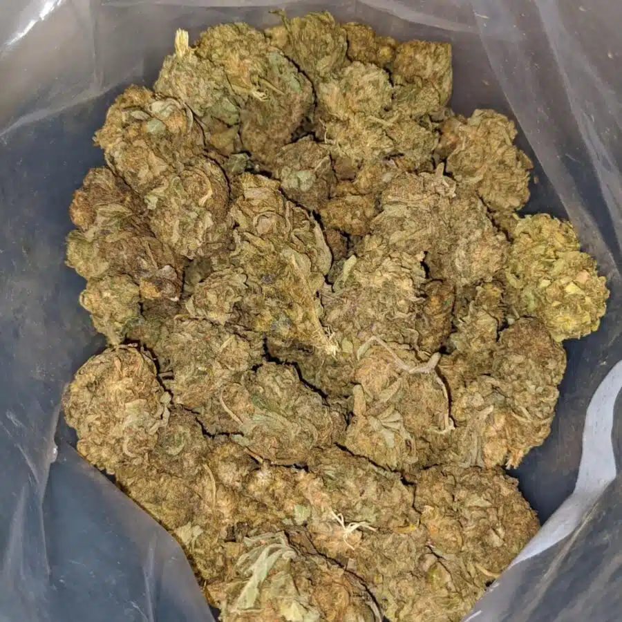 AA WIDOW HAZE 4 I Tony's Widow Haze