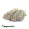 Alaskan Thunderfuck - *Deal of the Day*
