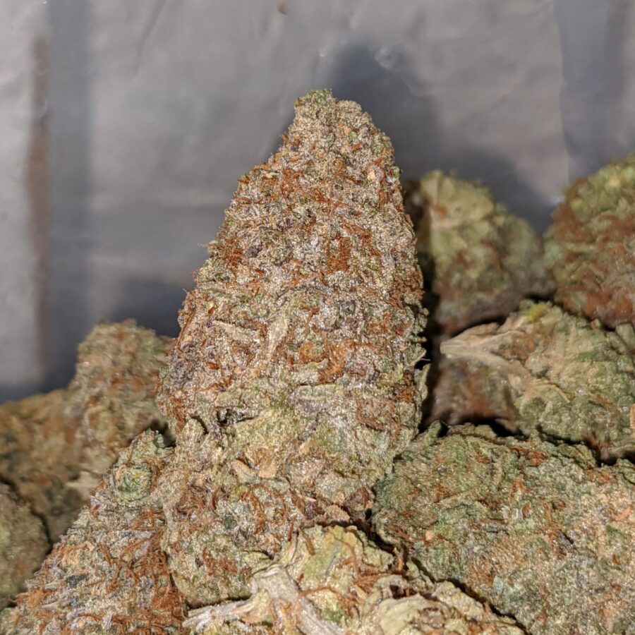 BC BIG BUD 1 I Kings Crack