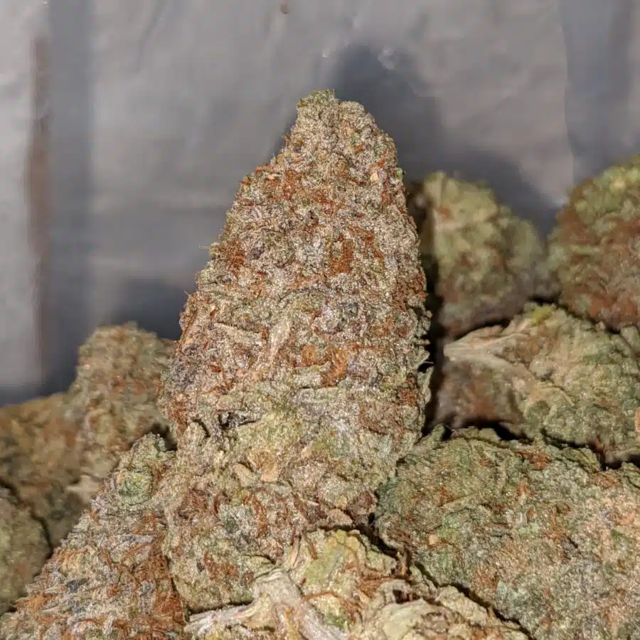 BC BIG BUD 1 I Kings Crack