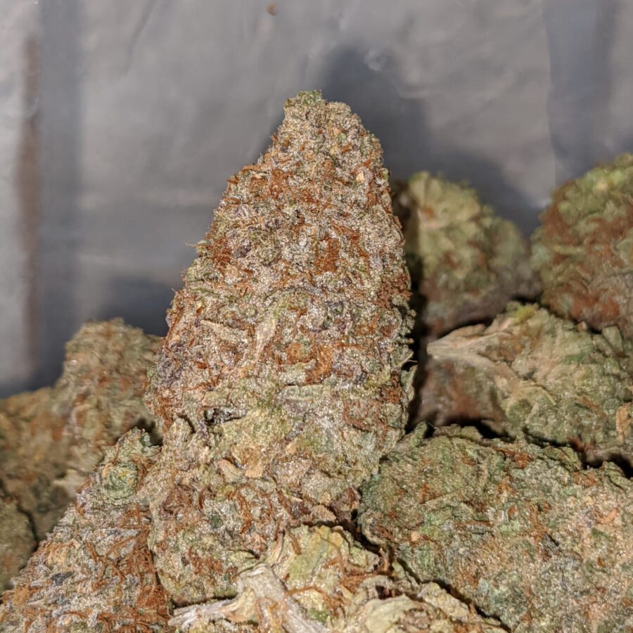 BC BIG BUD 2 I Kings Crack