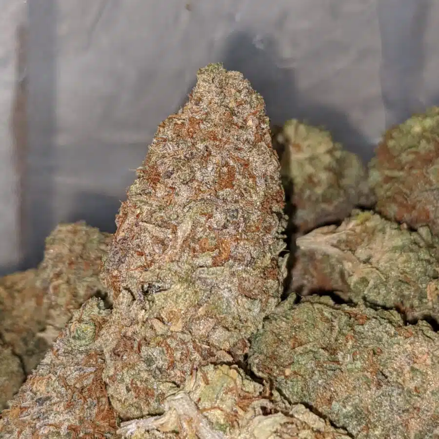 BC BIG BUD 2 I Kings Crack
