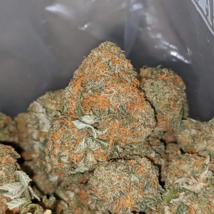 Alternative view of Rock Bud