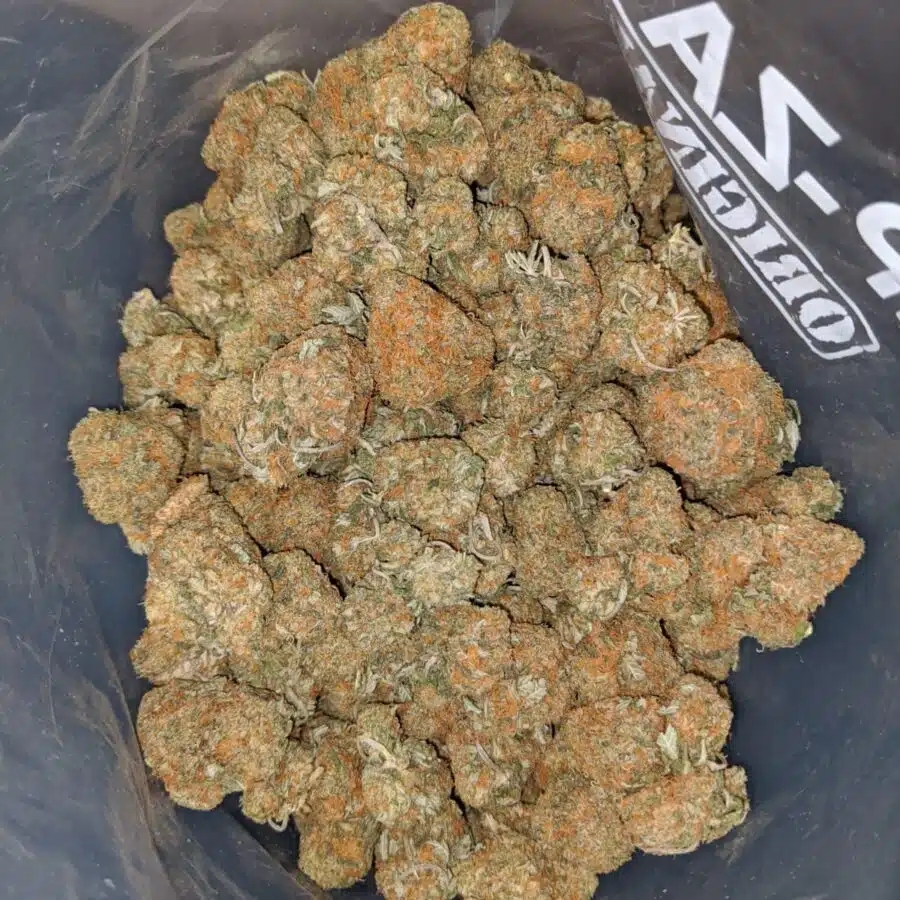 Rock Bud