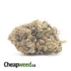 Bubba Pink