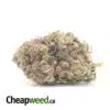 Bubba Pink