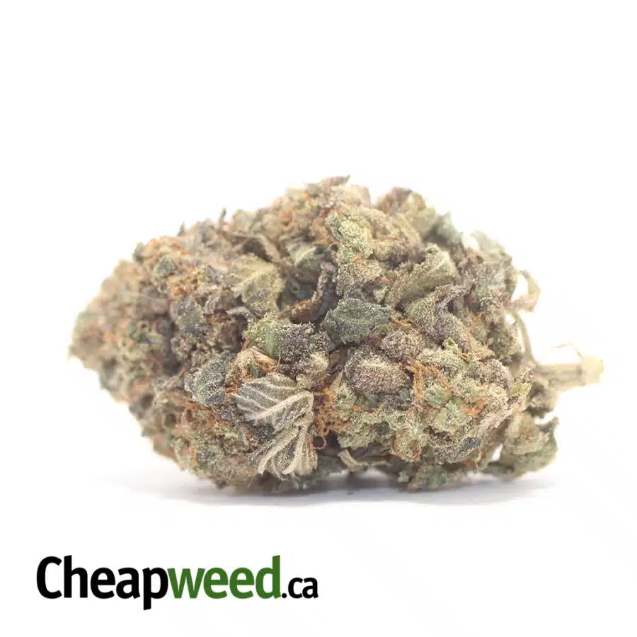 Bubba Pink
