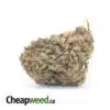Cheap Indica