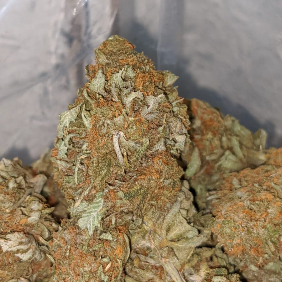 CHEAP JETFUEL 1 I jetfuel