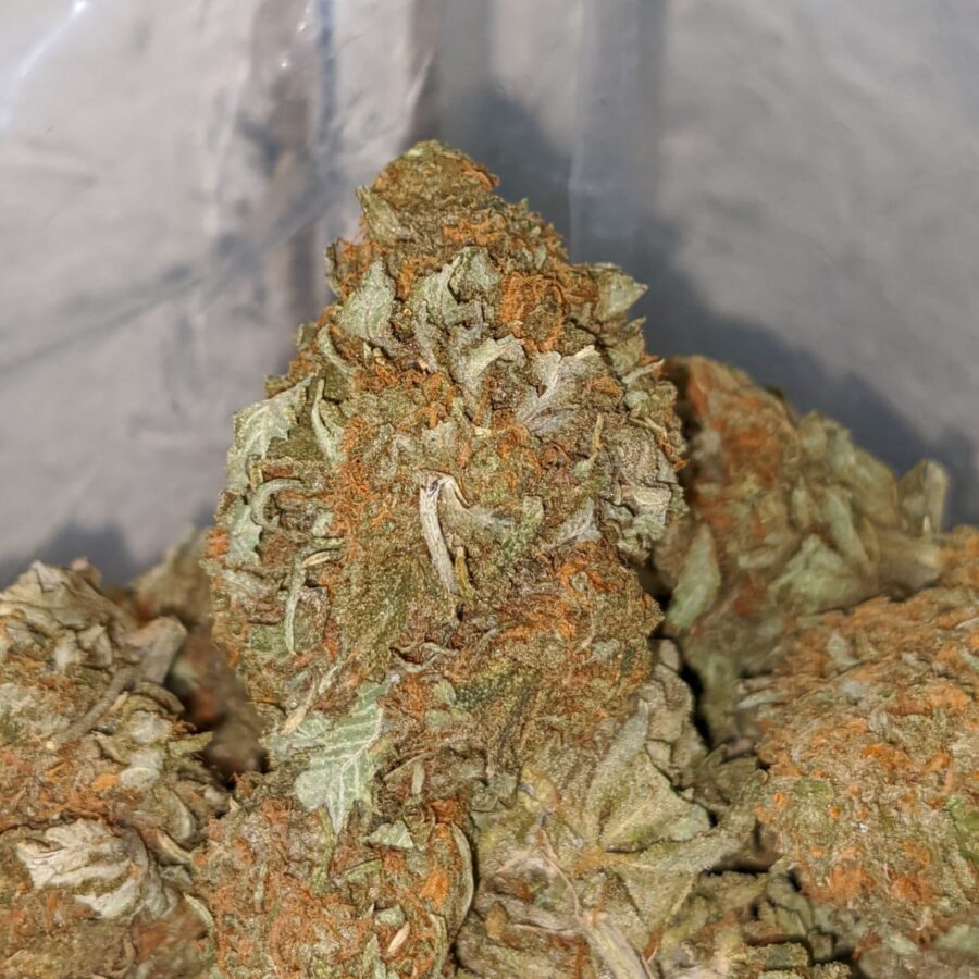 CHEAP JETFUEL 2 I jetfuel