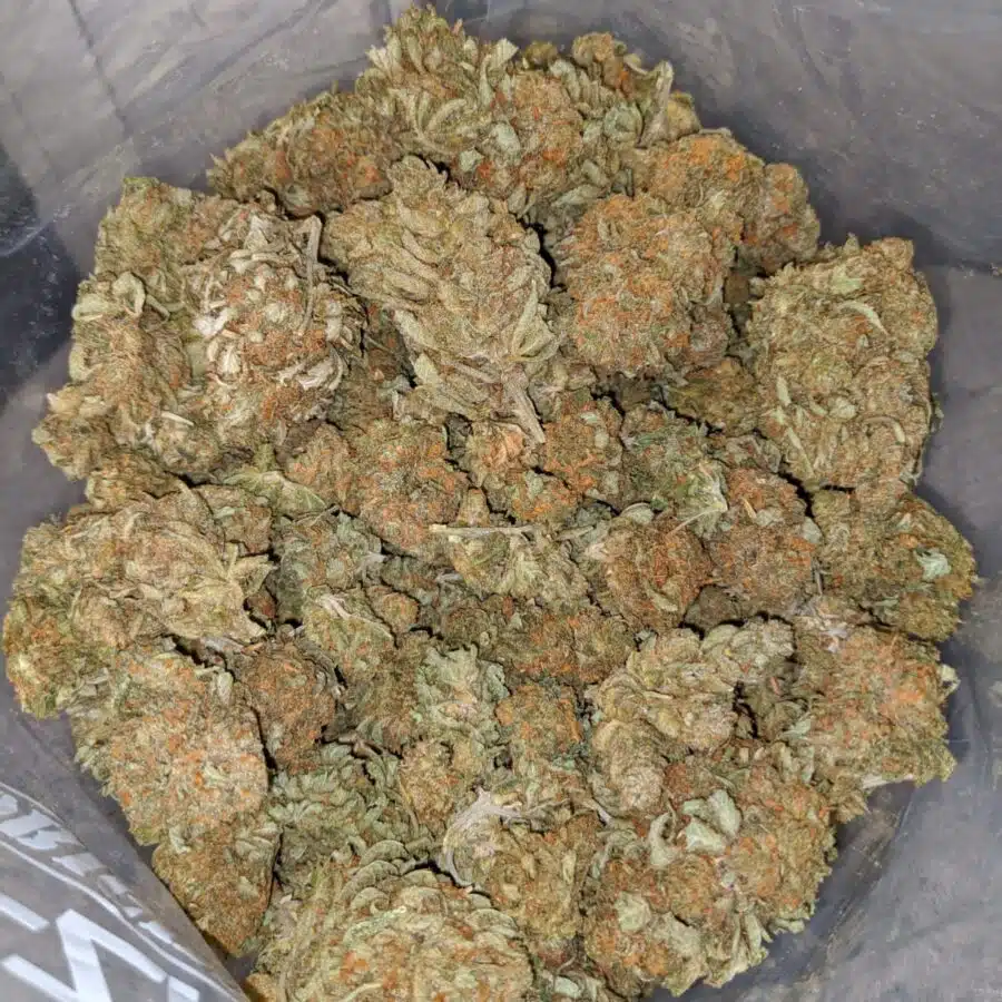 jetfuel
