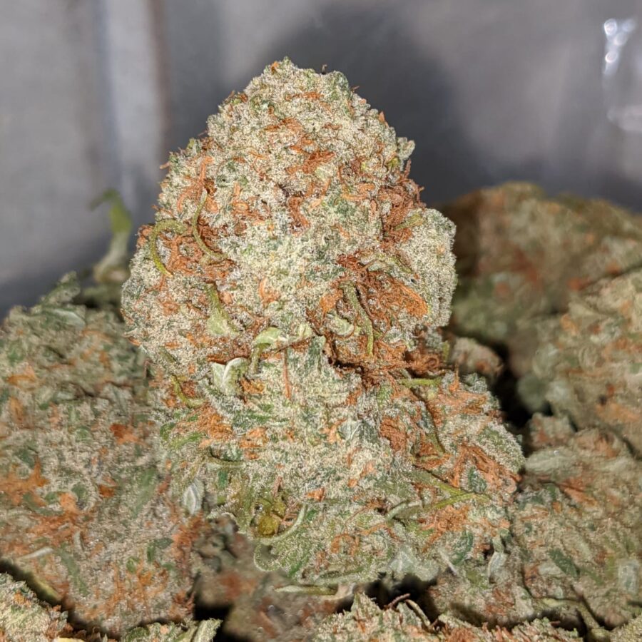 EMMAS SWEET TOOTH 2 I Cheap Wedding Cake