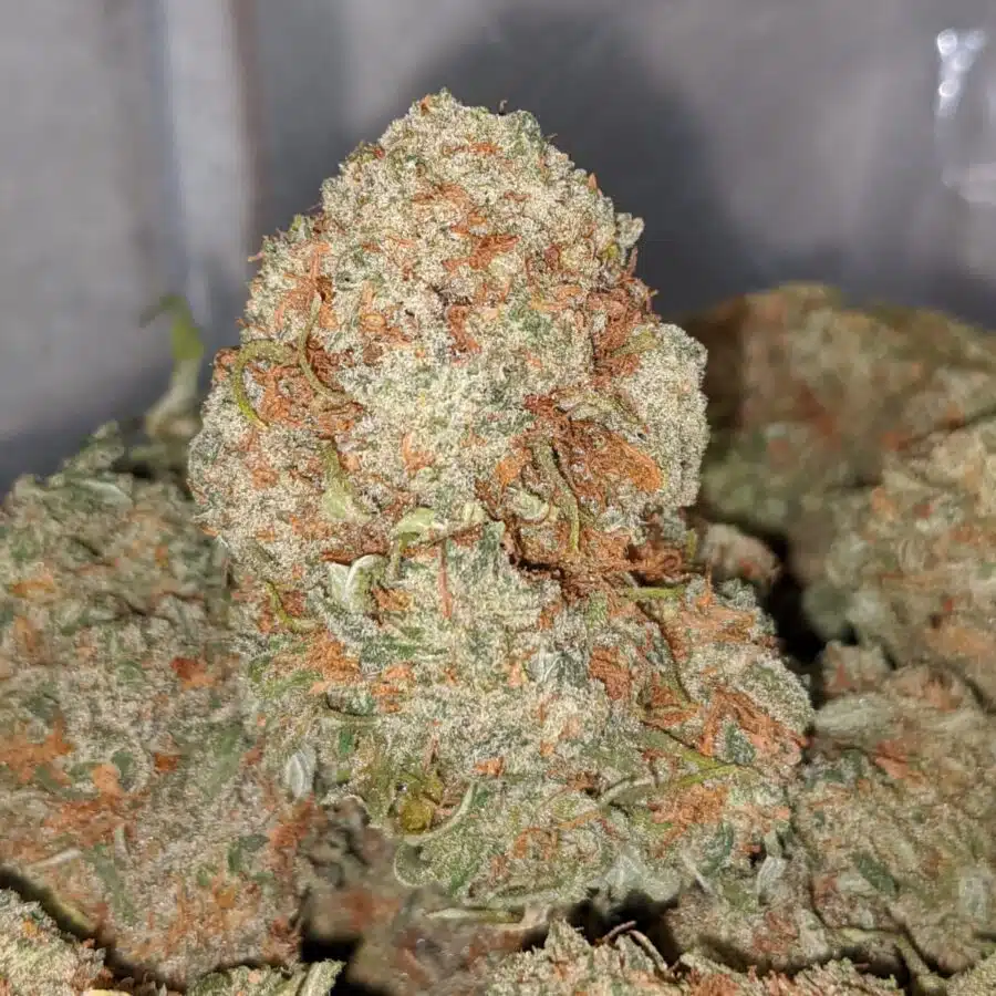 EMMAS SWEET TOOTH 2 I Cheap Wedding Cake
