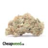 Girl Scout Cookies