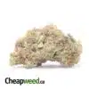 Girl Scout Cookies