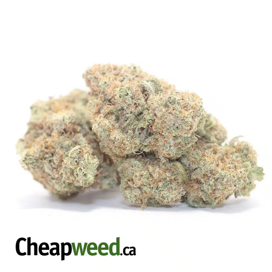 Alternative view of Girl Scout Cookies