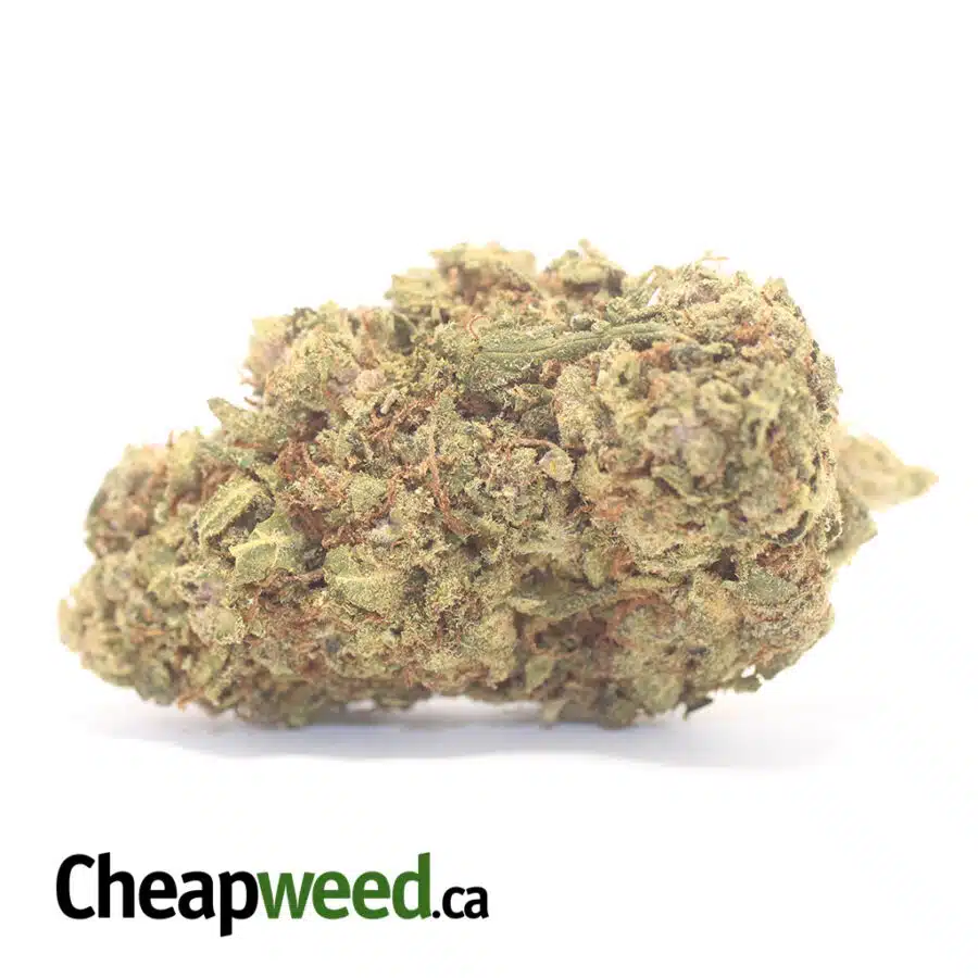 Green Kush Bulk Special