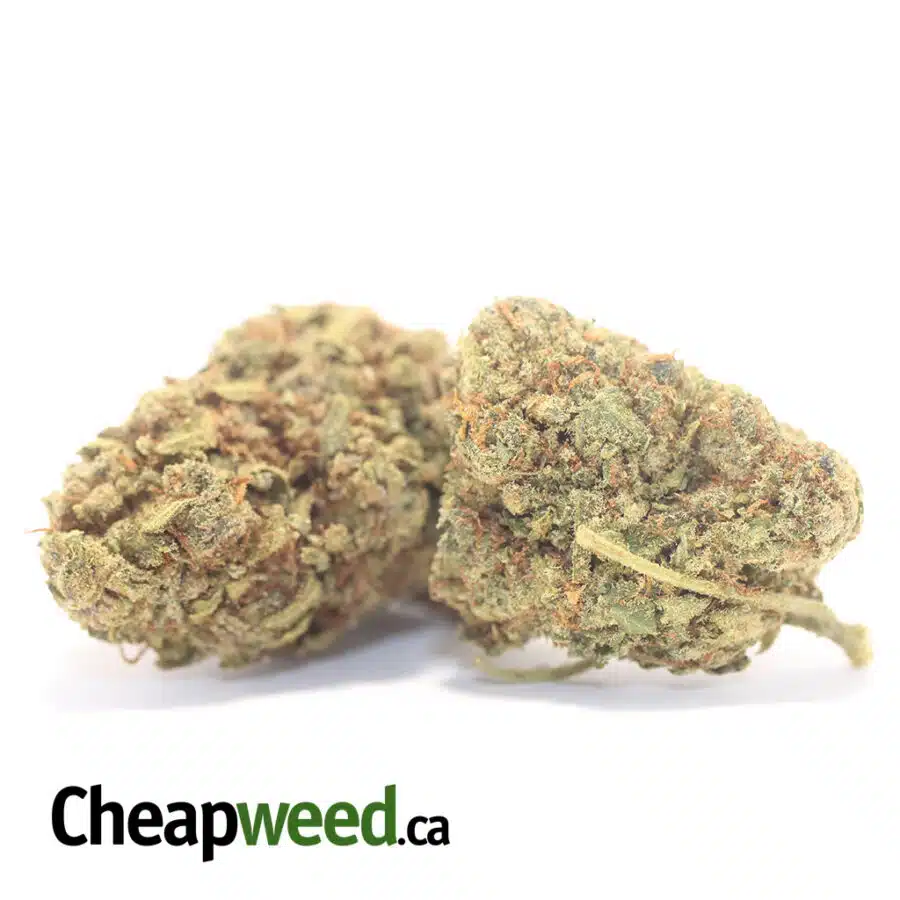 Alternative view of Green Kush Bulk Special
