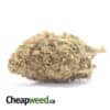 Green Thai AA+