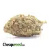 Green Thai AA+