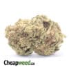 Green Widow Bulk Special