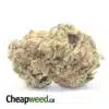 Green Widow Bulk Special
