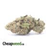 Green Wreck - *Deal Of The Day*