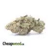 Green Wreck - *Deal Of The Day*