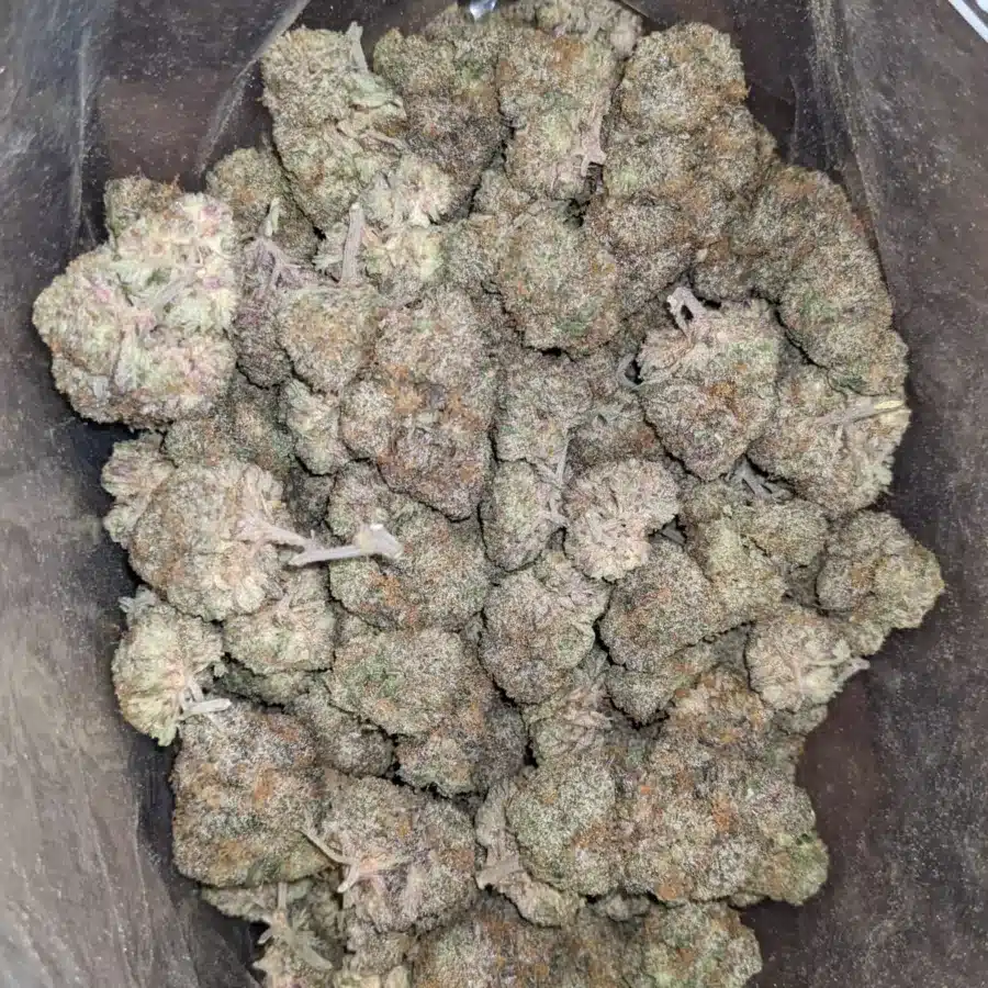 Ghost train haze 1 I $ 69 Oz - Ghost Train Haze