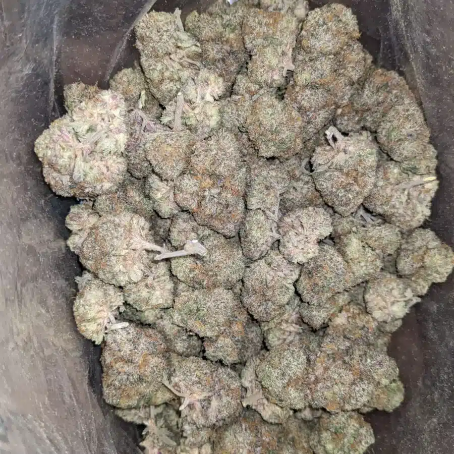 Ghost train haze 2 I $ 69 Oz - Ghost Train Haze
