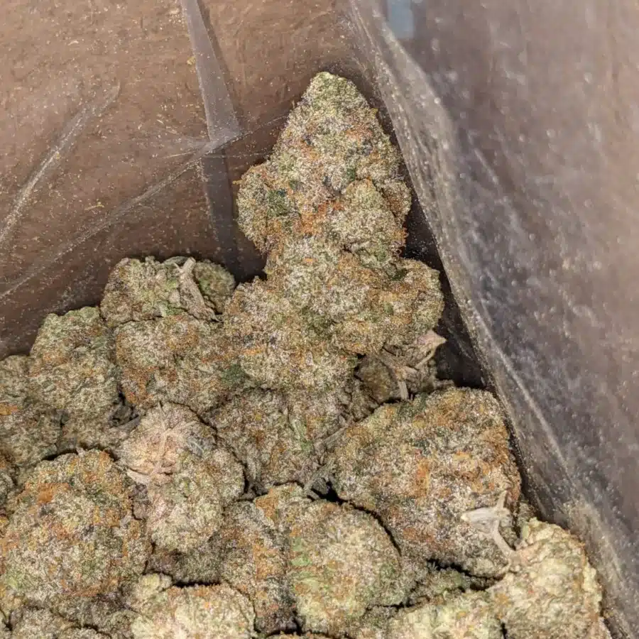 Ghost train haze 3 I $ 69 Oz - Ghost Train Haze