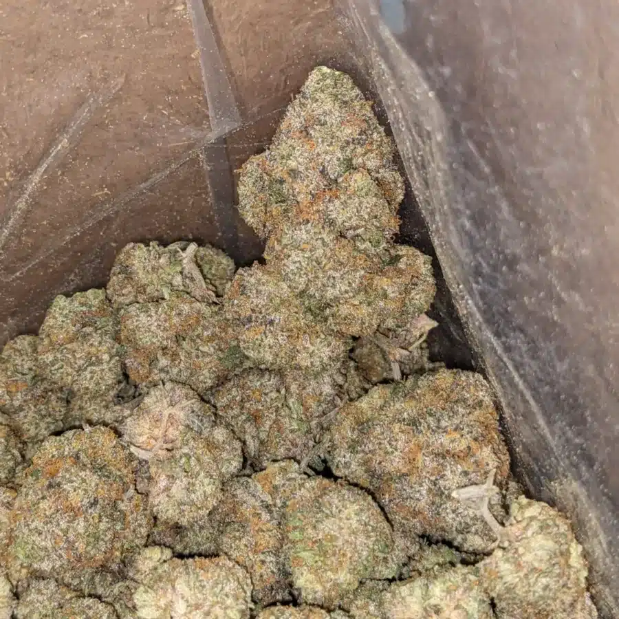 Ghost train haze 4 I $ 69 Oz - Ghost Train Haze