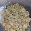 $ 69 Oz - Jungle Mints