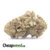 Kush Bomb - *Deal Of The Day*