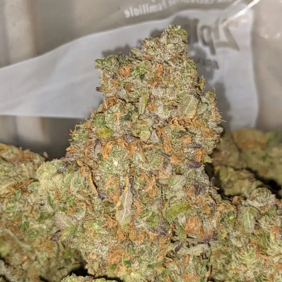 LSO SCOTTIES CAKE 1 I Shipwreck OG