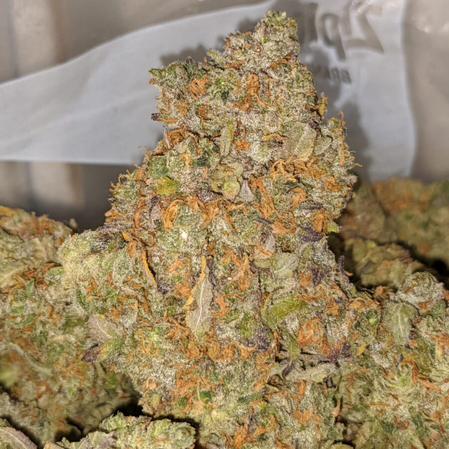 LSO SCOTTIES CAKE 2 I Shipwreck OG
