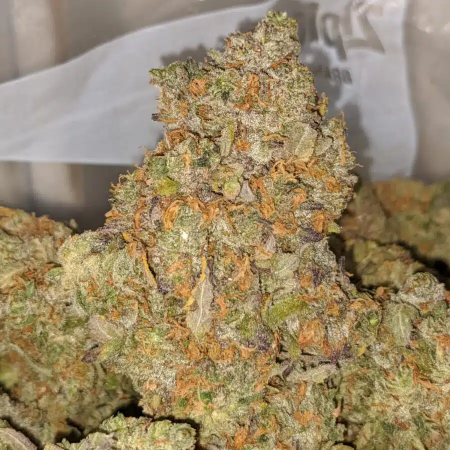 LSO SCOTTIES CAKE 2 I Shipwreck OG