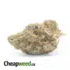 Mint Chipz - *Deal Of The Day*