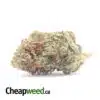 OG Kosher Kush