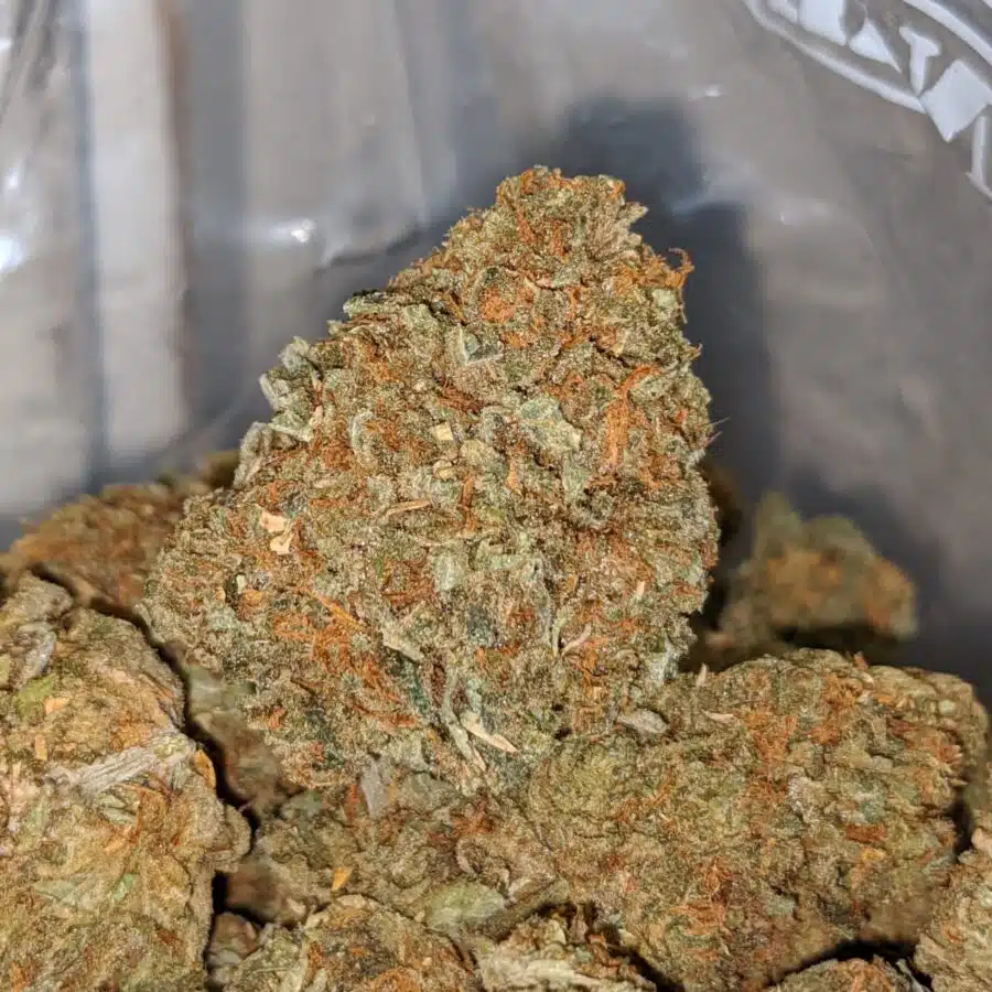 ORANGE CREAM 1 I Sour OG - *Deal Of The Day*